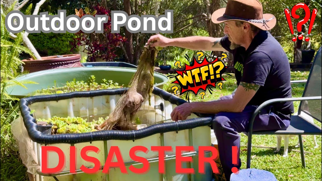 Disaster Pond Rebuild – Hidden Life I Never Expected!
