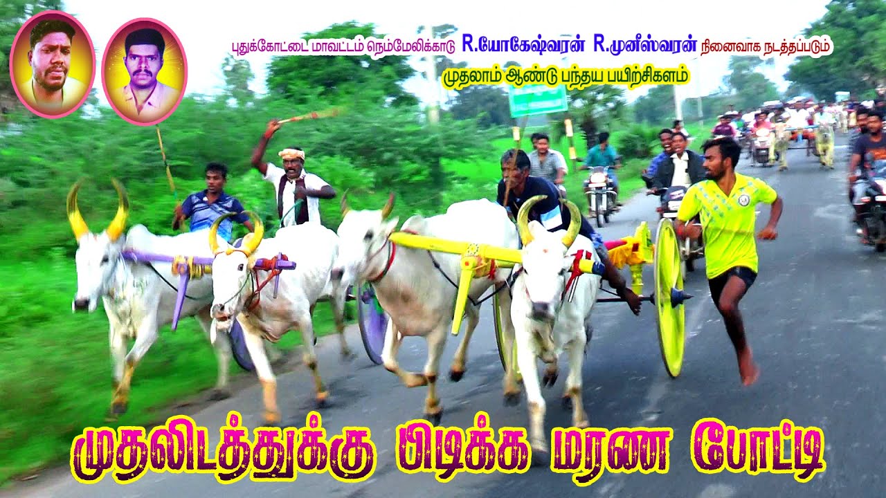 27-11-2021 புதுக்கோட்டை[மா] நெம்மேலிக்காடு பந்தய பயிற்சிக்களம் | Perai_raj_studio | Rekla race