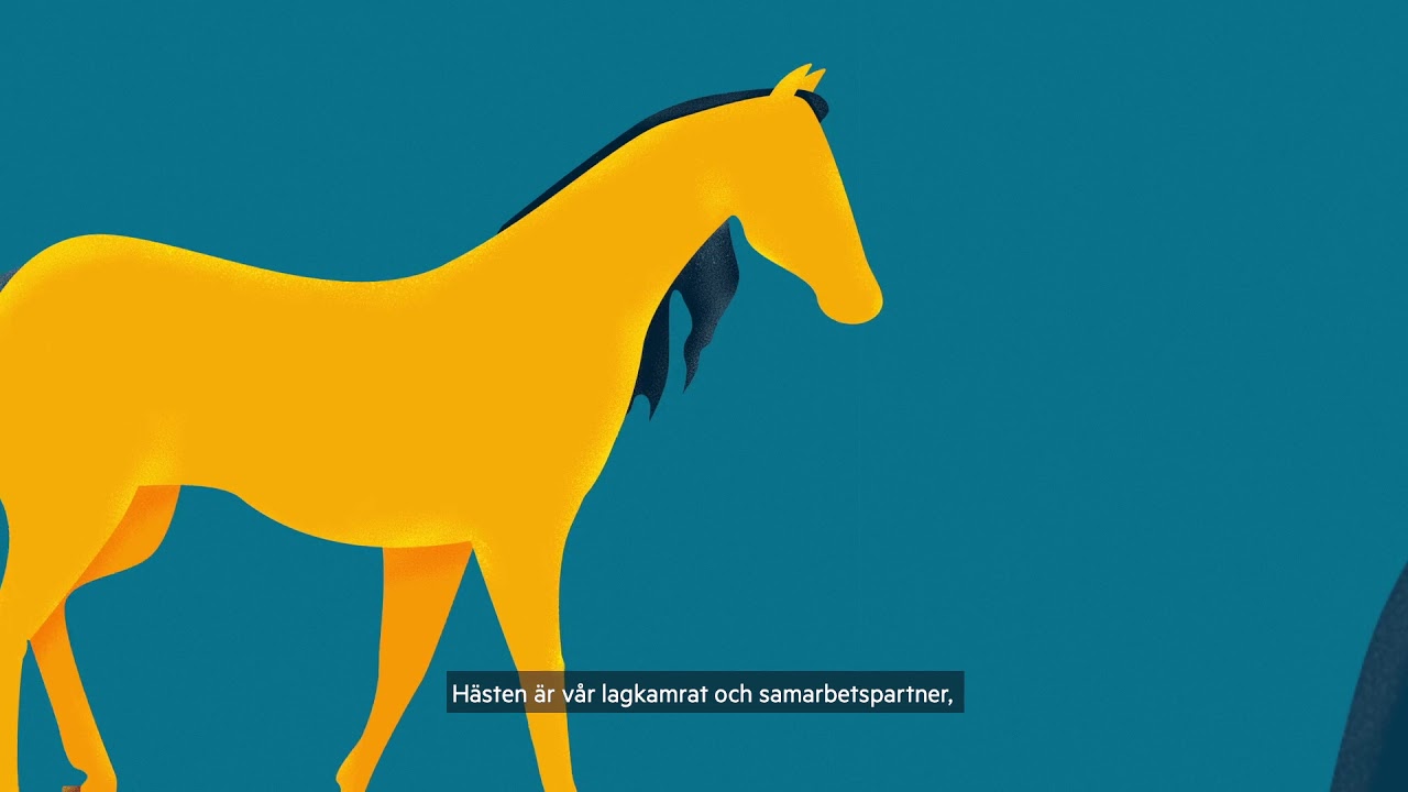 En film om ridsport p&aring; h&auml;stens villkor!