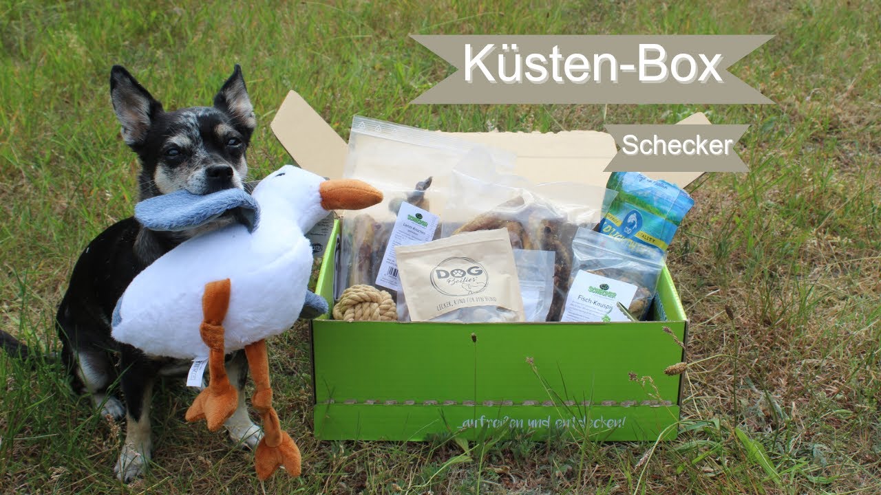 Schecker Überraschungsbox I Küsten Edition