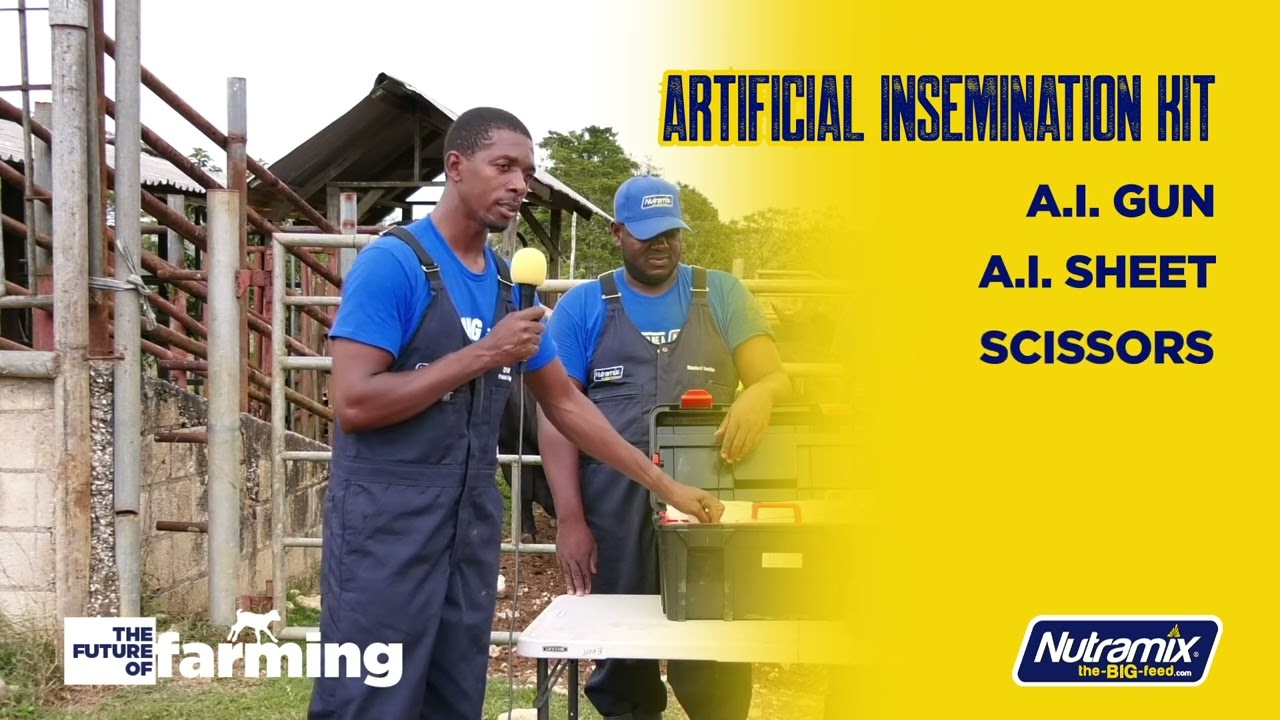 NUTRAMIX ARTIFICIAL INSEMINATION