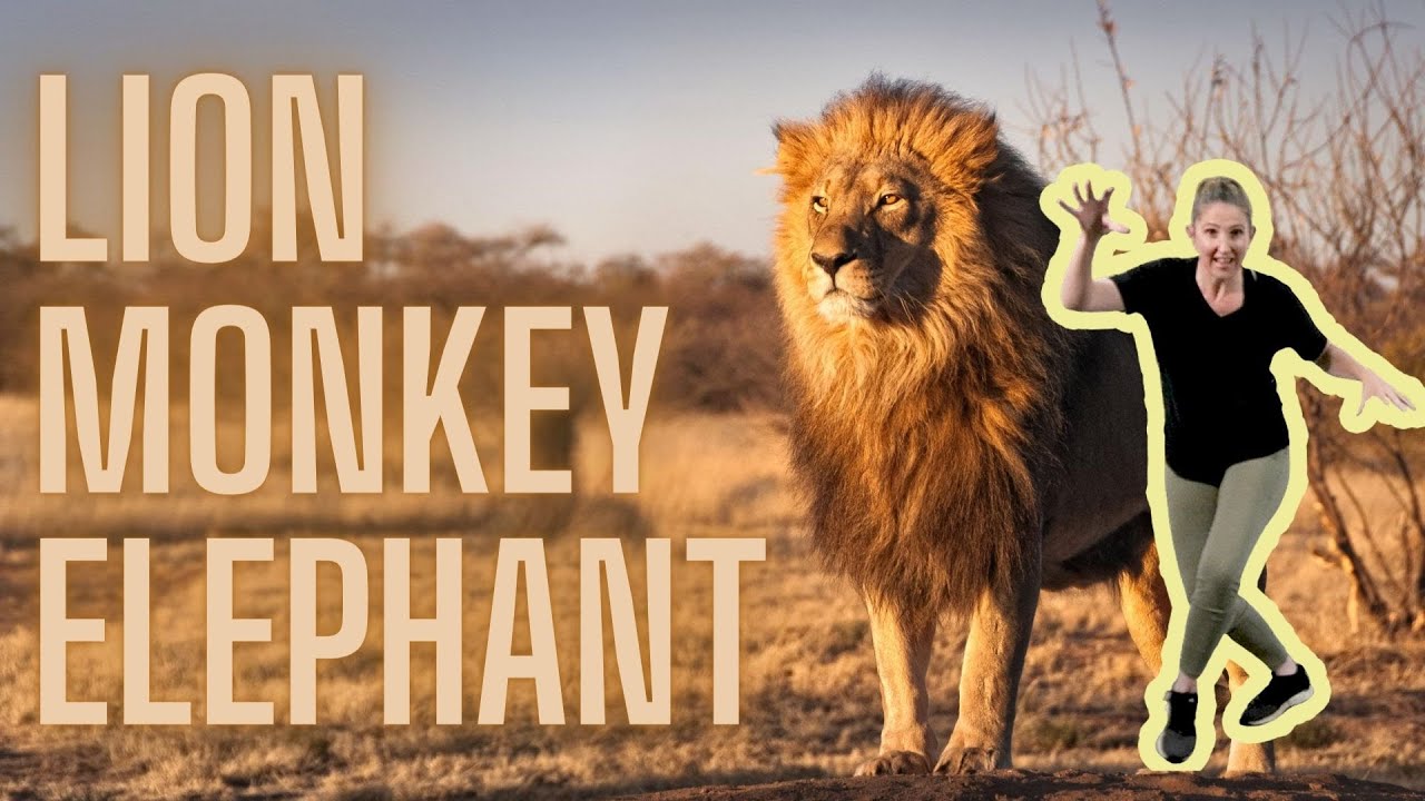 Free Online Dance Class for Kids and Preschoolers - Zoo Animals, Lion, Monkey and Elephant