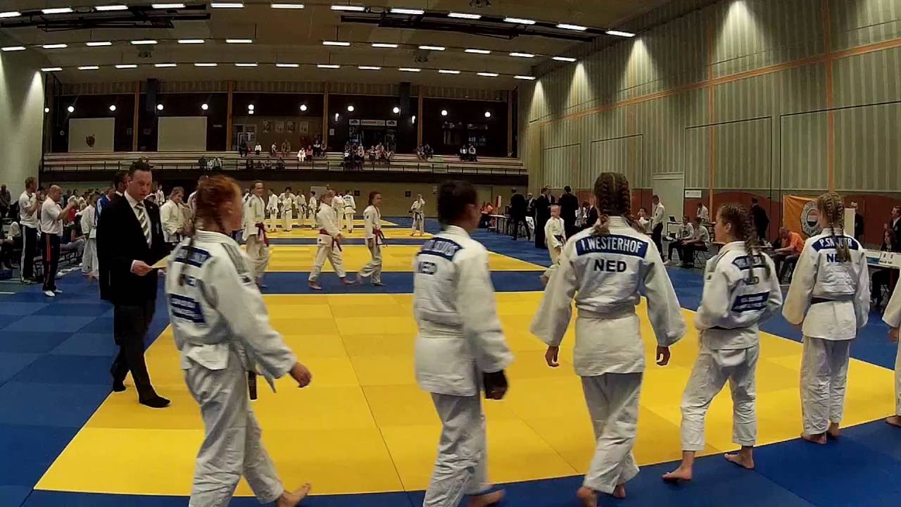 DK teams -15 2016 judoschool Veendam - Dijkmansport