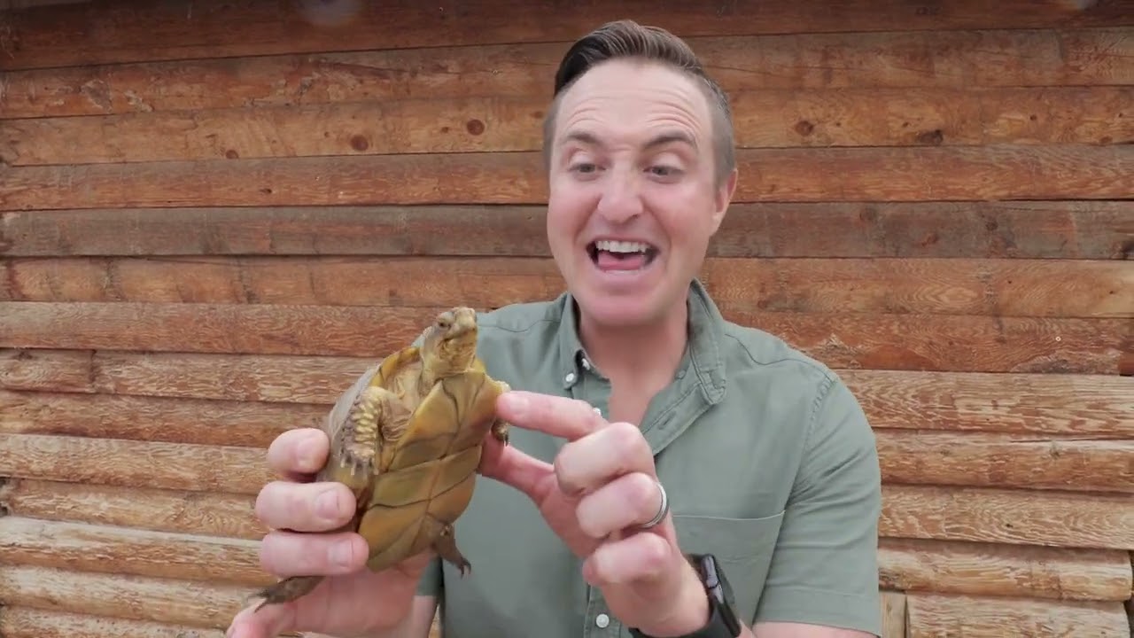 Corbin Maxey shows off his Turtles and Tortoises as he takes Wonderama into the Wild!