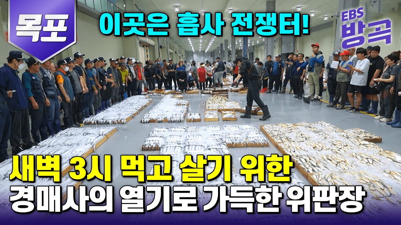 [전남 목포] 이곳은 흡사 전쟁터? 거대한 냉장고 같은 위판장 속 가슴 뜨거워지는 경매 현장 | #고향민국 #방방곡곡