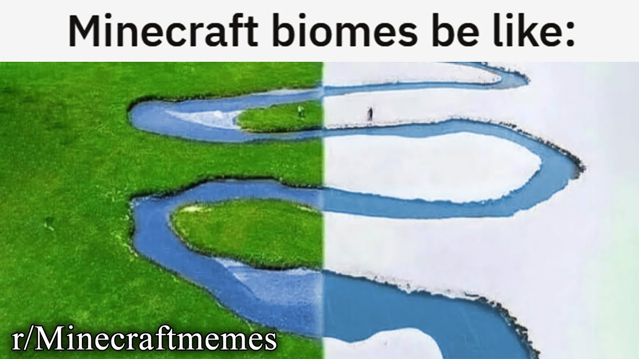 r/Minecraftmemes | minecraft biomes be like: