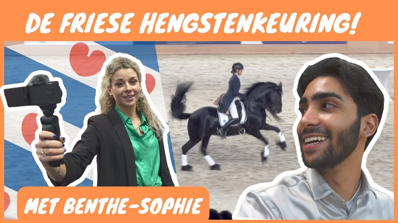 MET BENTHE NAAR DE FRIESE HENGSTENKEURING | WEEKVLOG #002
