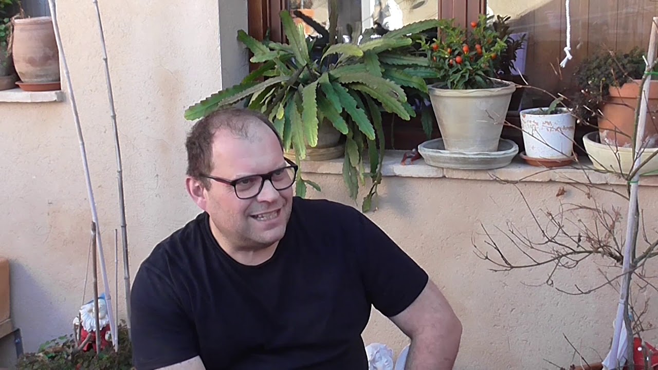 La democratización del placer. El Barrio Biar. Un proyecto de Aramis López