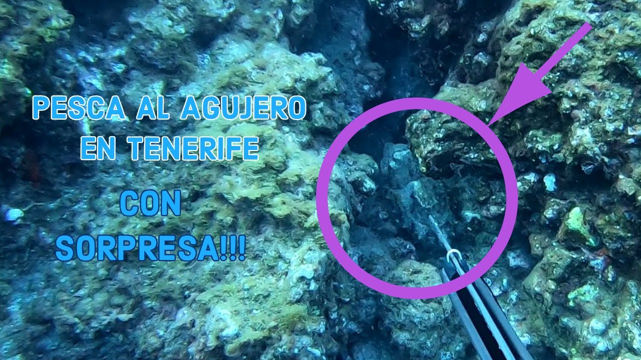 PESCA AL AGUJERO EN TENERIFE CON SORPRESA!!!//SPEARFISHING IN CANARY ISLAND