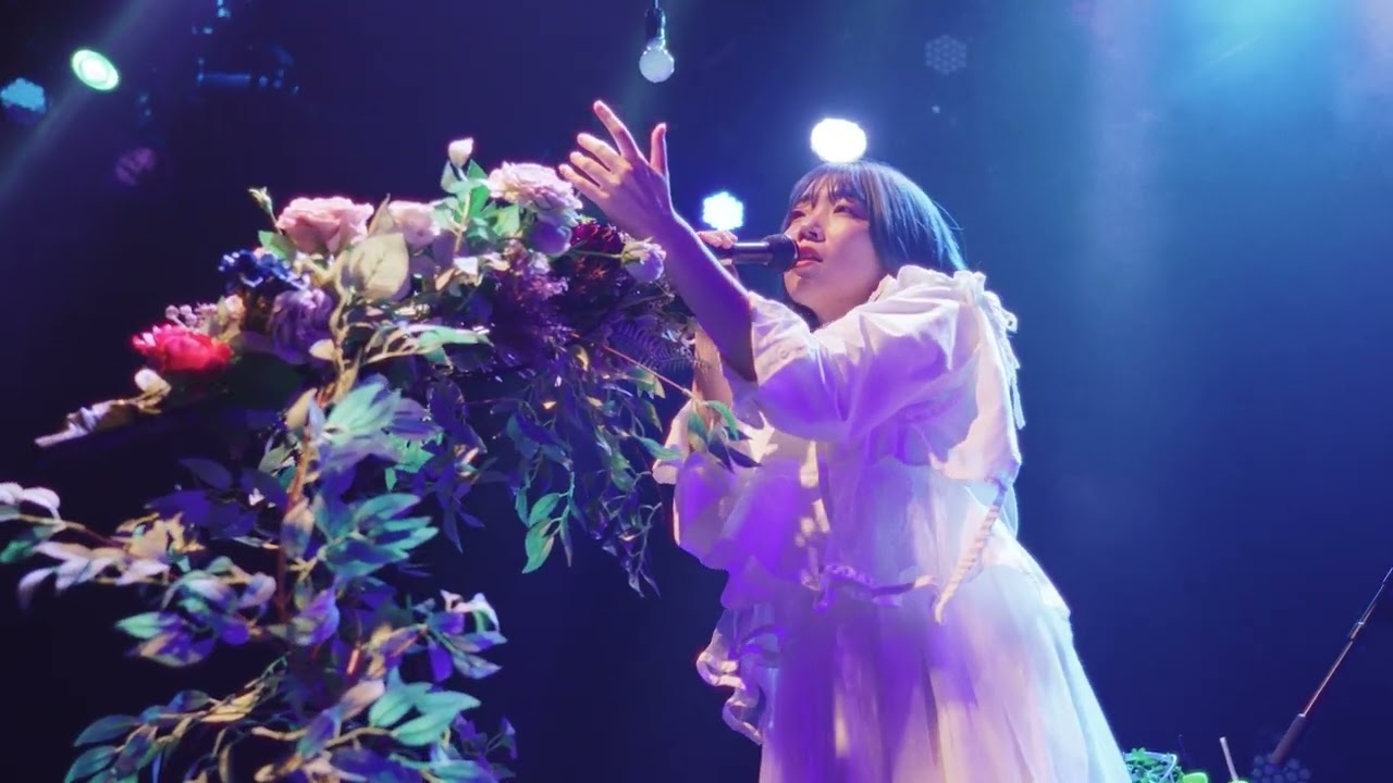 野田愛実 - butterfly effect （NodaEmi LIVE 2024 “time” in SHIBUYA PLEASUREPLEASURE）