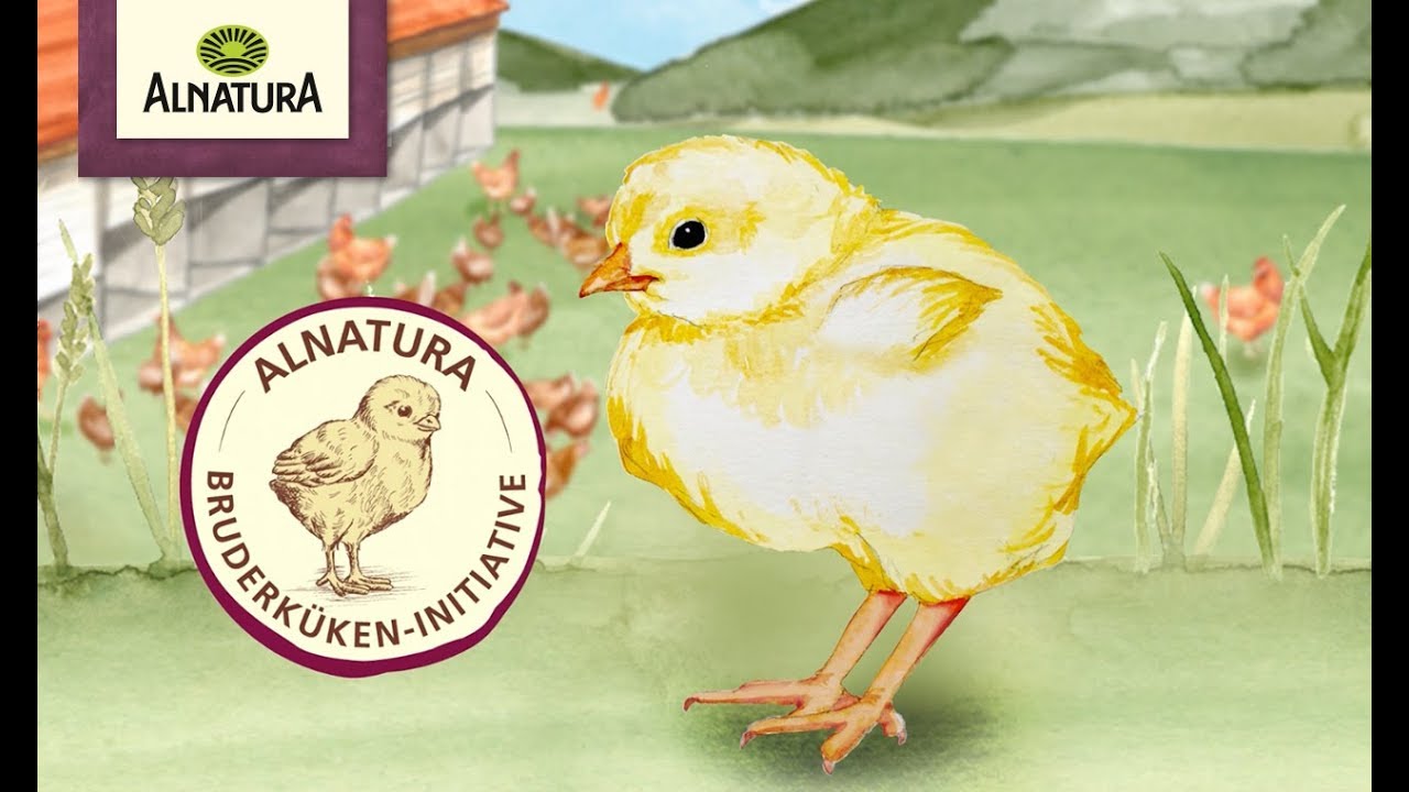 Alnatura Eier machen Sinn