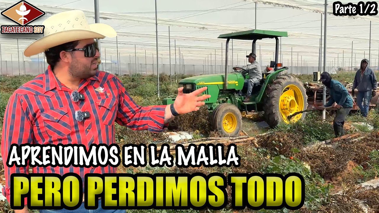 EL GRILLO PERDIÓ MUCHO pero aprendió sobre la MALLA SOMBRA