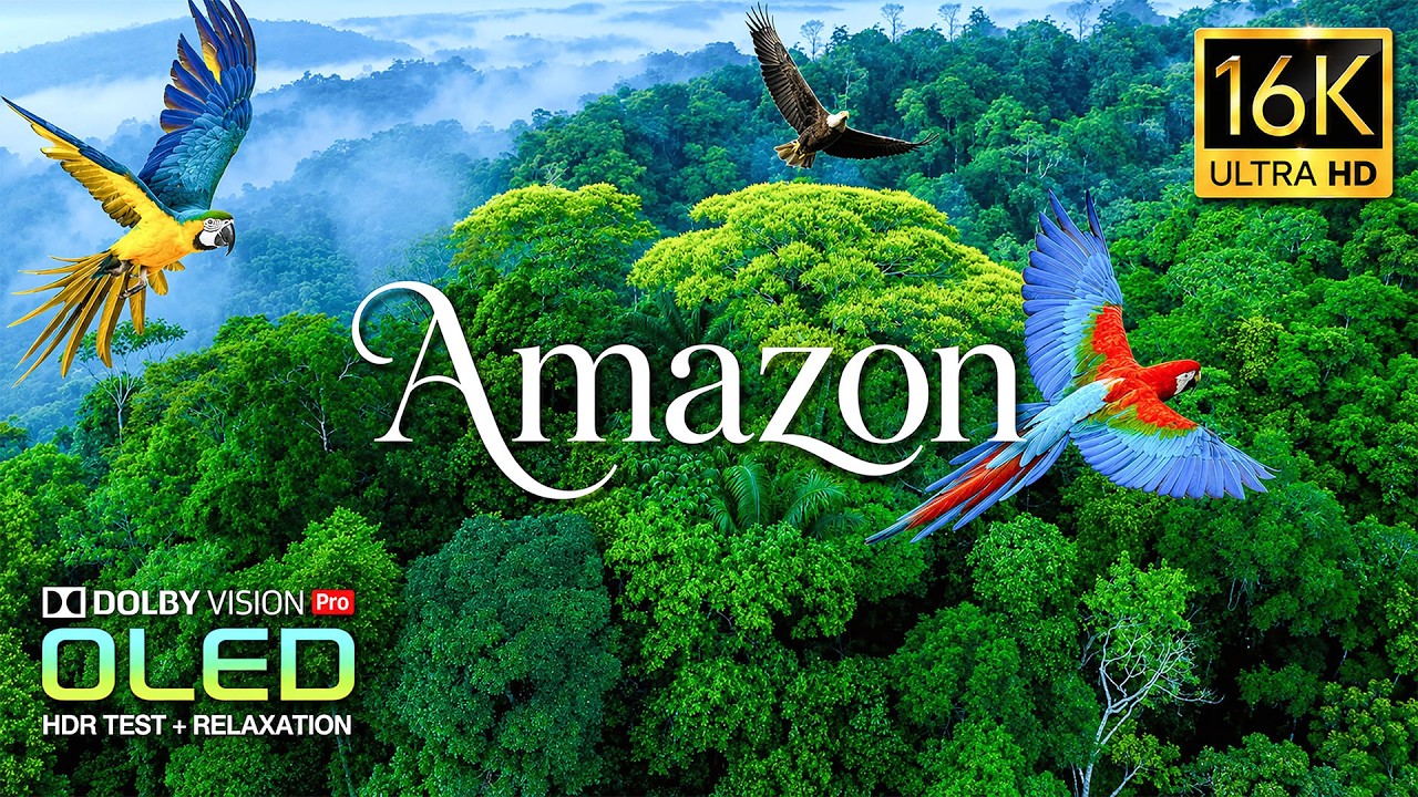 Amazon Rainforest 4K UHD | Wildlife, Rivers & Tropical Jungle Relaxation Film (4K &bull; 8K Ultra HD TV)