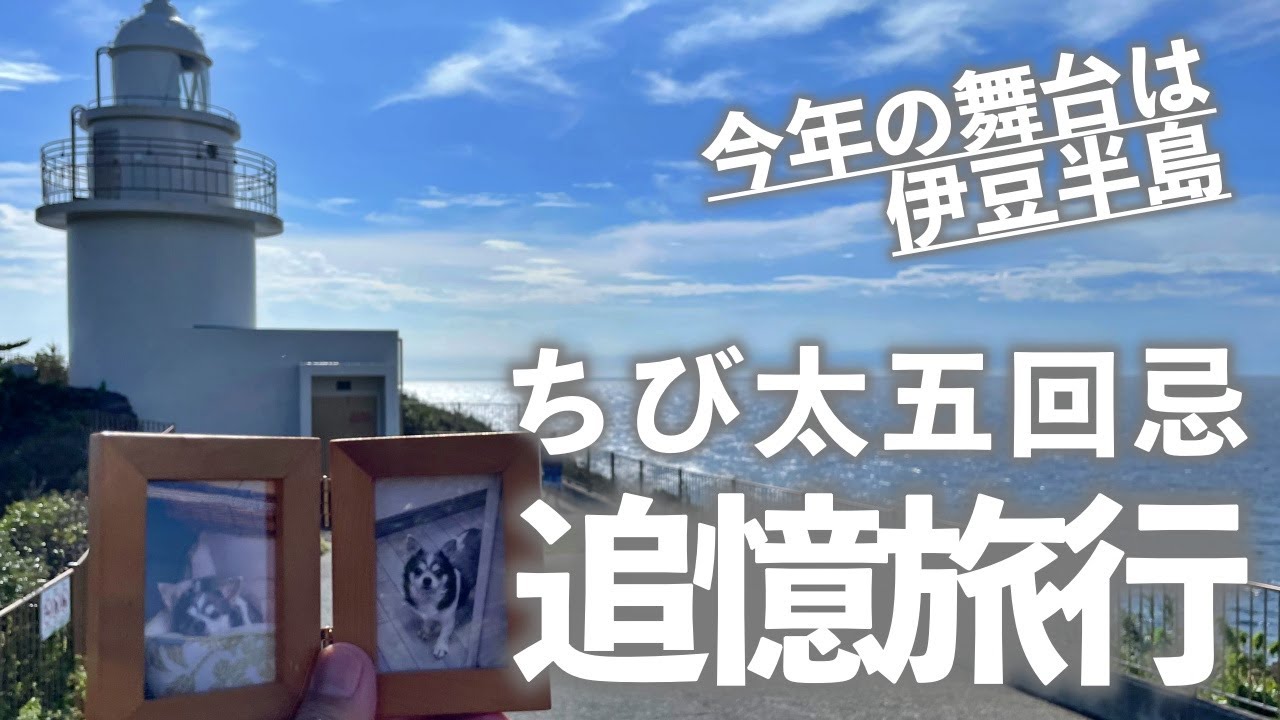 CHIBITA ch Vol117 ちび太五回忌追憶旅行 伊豆半島へ