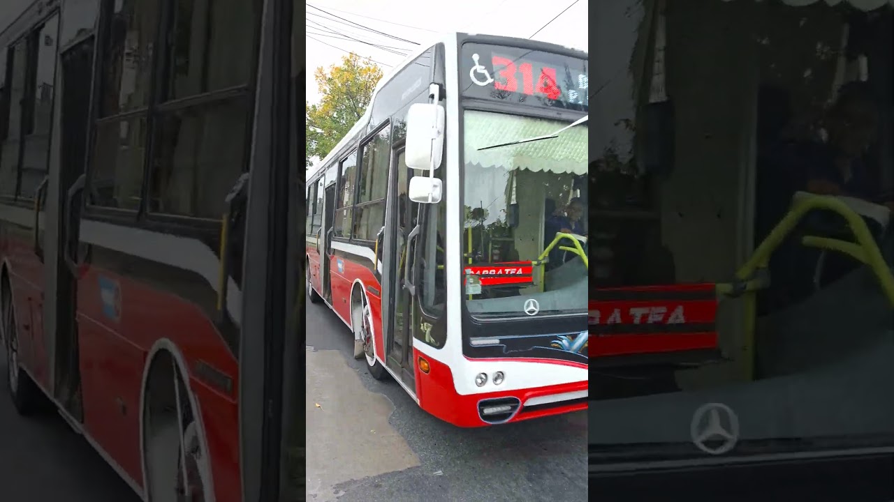 El Famoso 7 de la 3k Modelo Nuovobus Citta