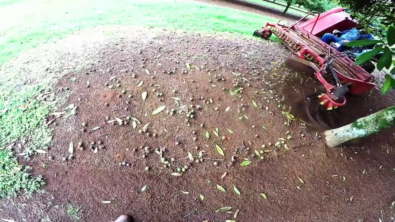 ROBMAC Harvester with side sweeper