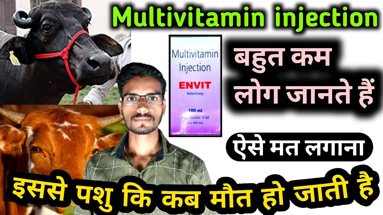 ♈तगडे़ काम करता है पशु में || Multivitamin injection/hivit injection veterinary || vet  medicine ||