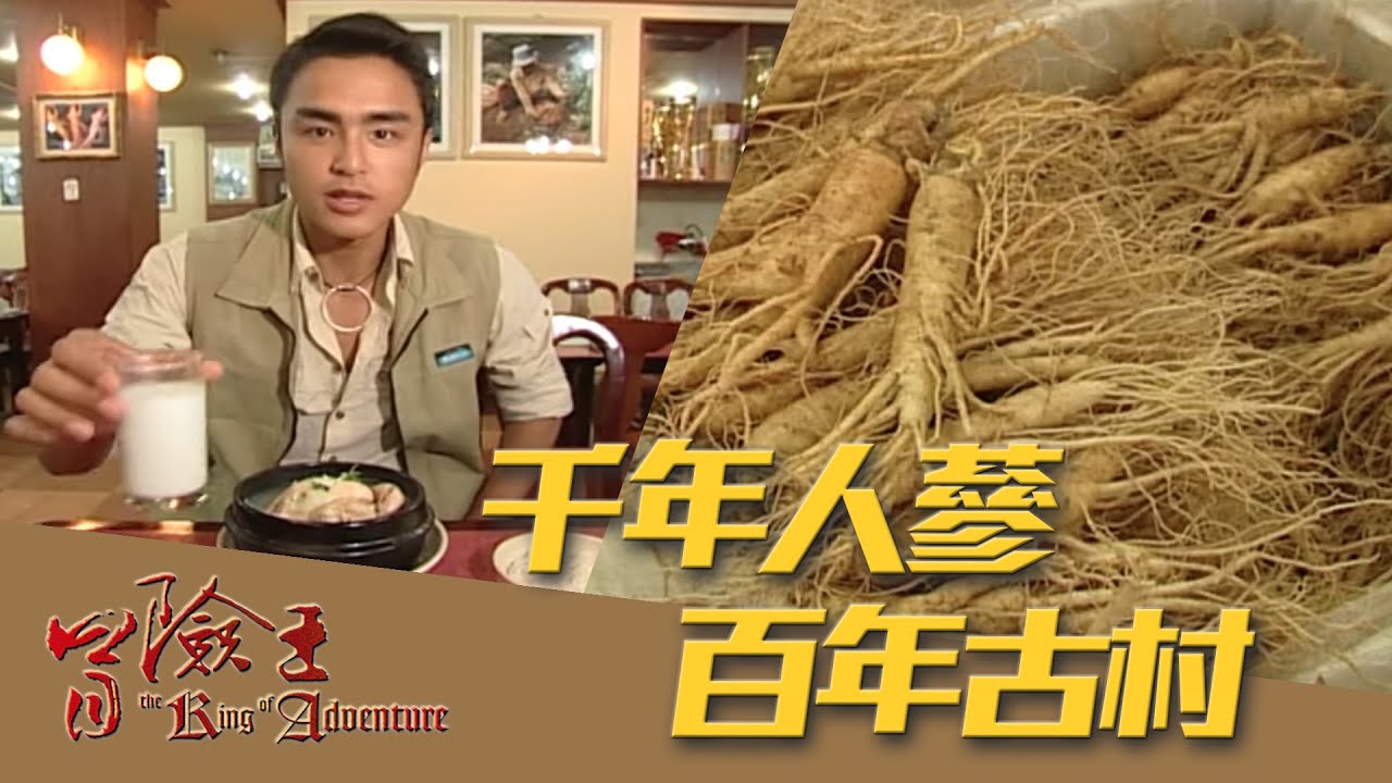 【冒險王】【南韓】千年人蔘百年古村 EP38