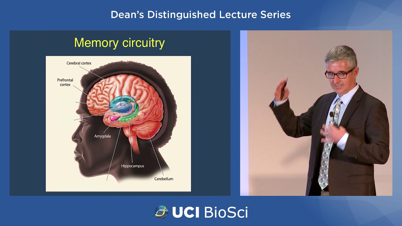 Dean's Distinguished Lecture Series - Dr. Marcelo Wood