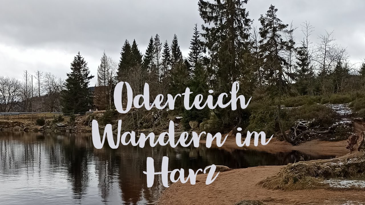 Oderteich - Wandern im Harz - Oderteichrundweg - Februar 2024