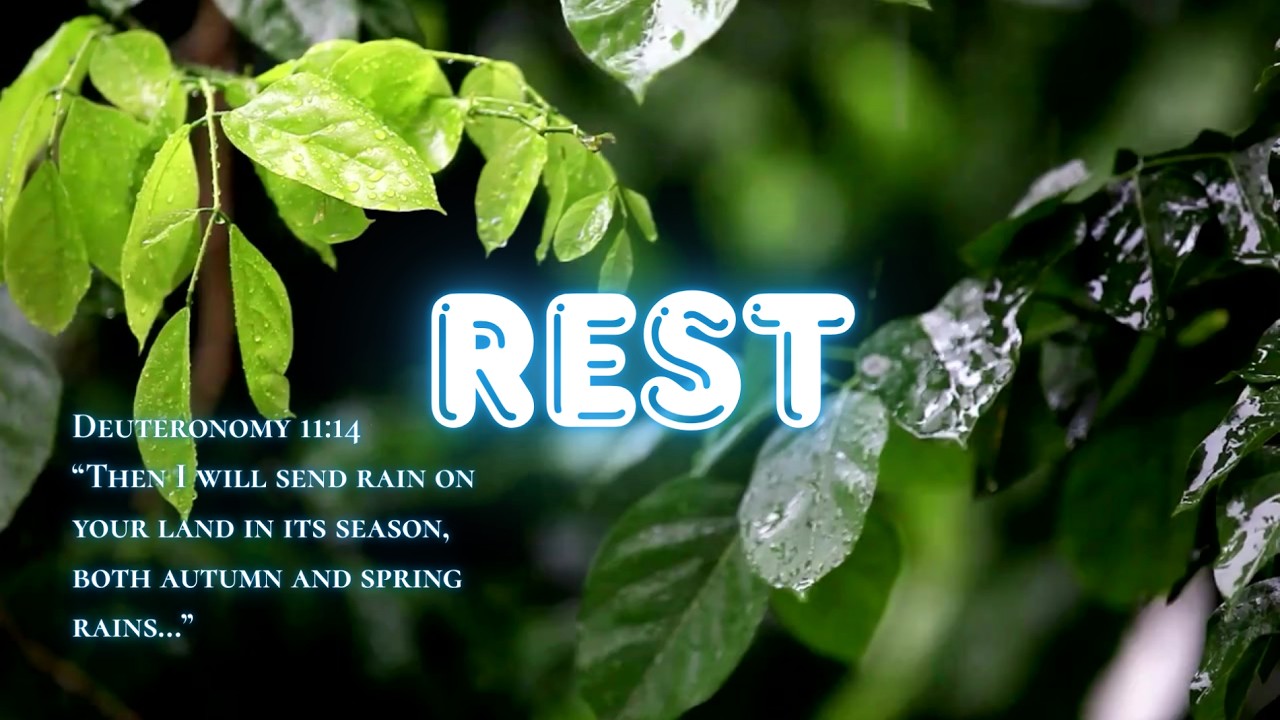 Rain, Nature for Rest & Reflection | God's Showers of Blessing 🤍#christianmotivation #faith #prayer