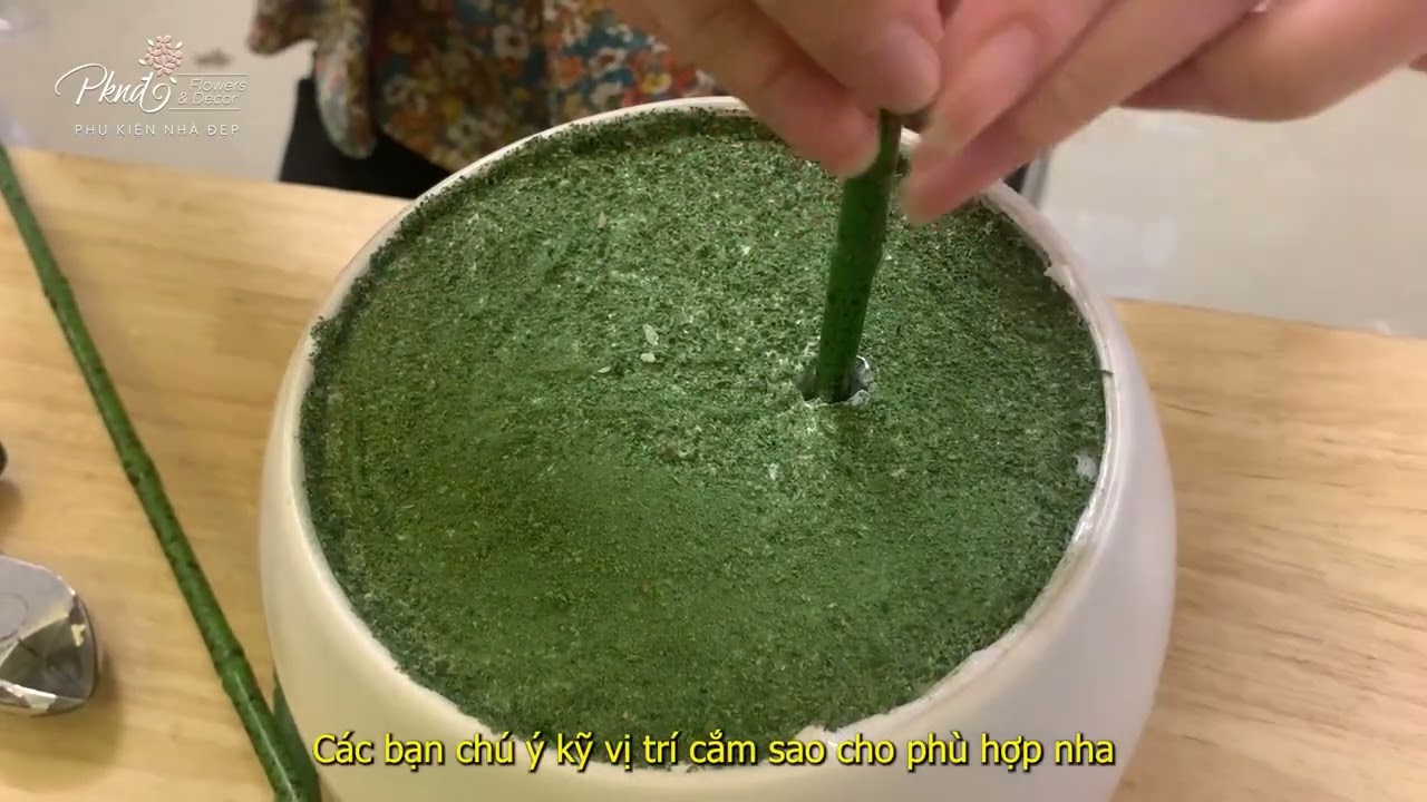 Hướng dẫn cắm chậu hoa lan hồ điệp giả để bàn hai nhánh tại nhà