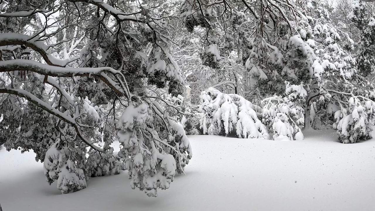 ❄️ Okay Snow, Thank You. You’ve Had Your Moment, Now Bring On Spring!