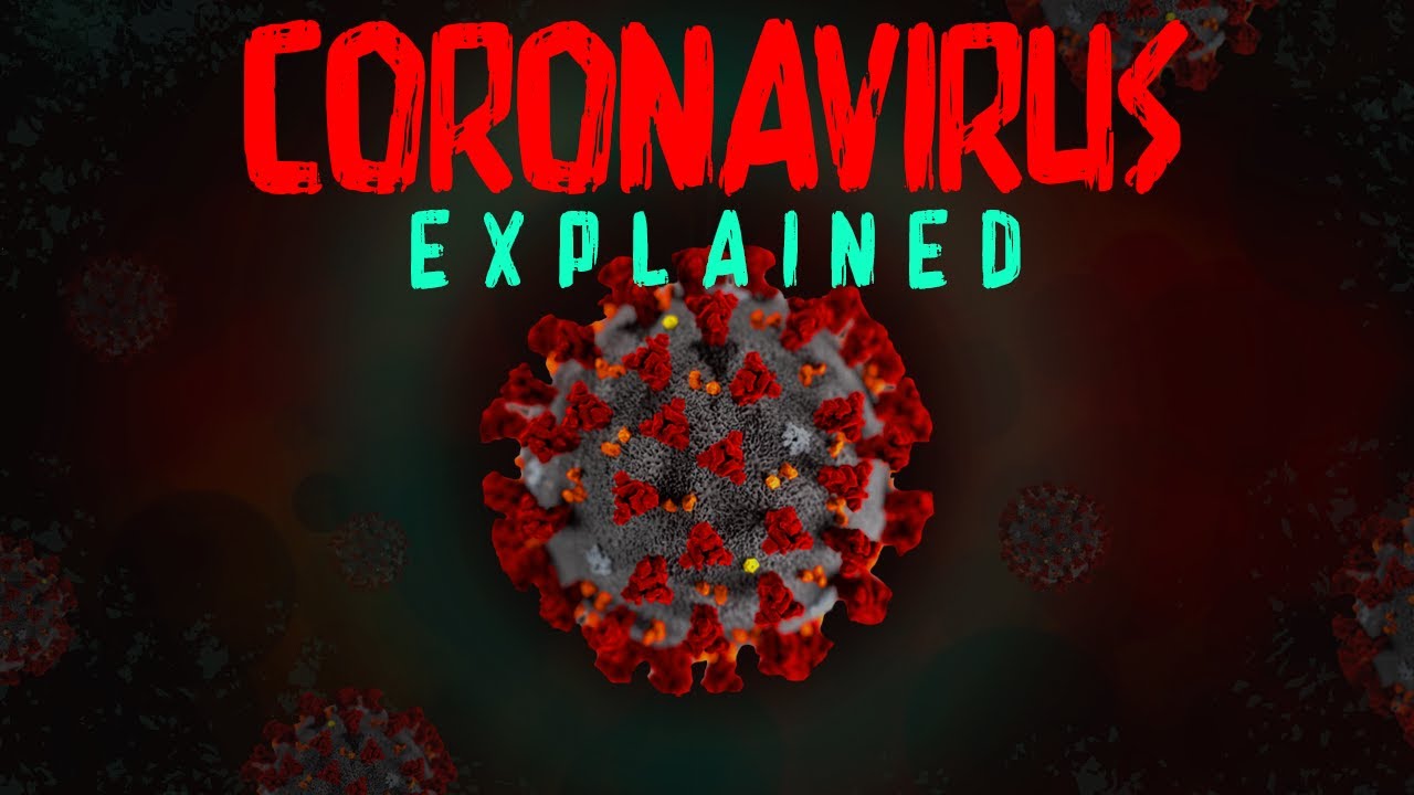 Coronavirus Explained!
