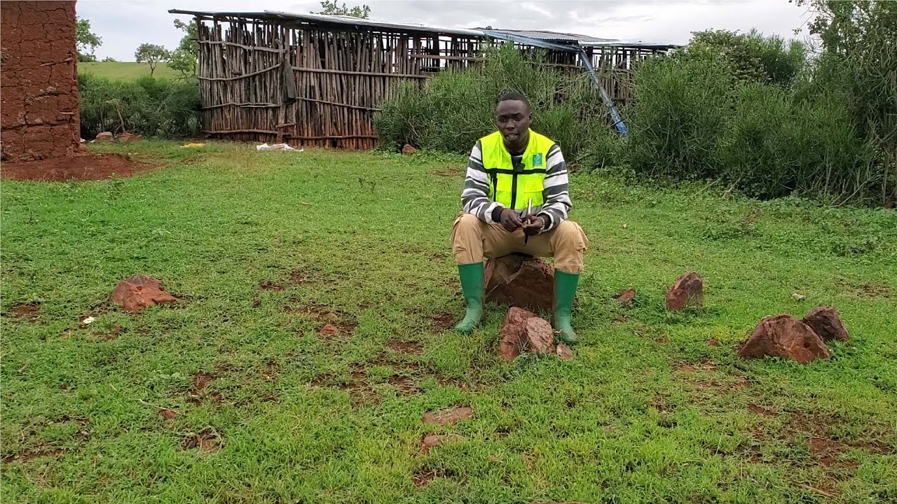 #KAYONZA-🔥Ifarm #hectares 10 kuri maake #millions 40 Kilometers 25 uvuye Rond point kayonza Nyaruka