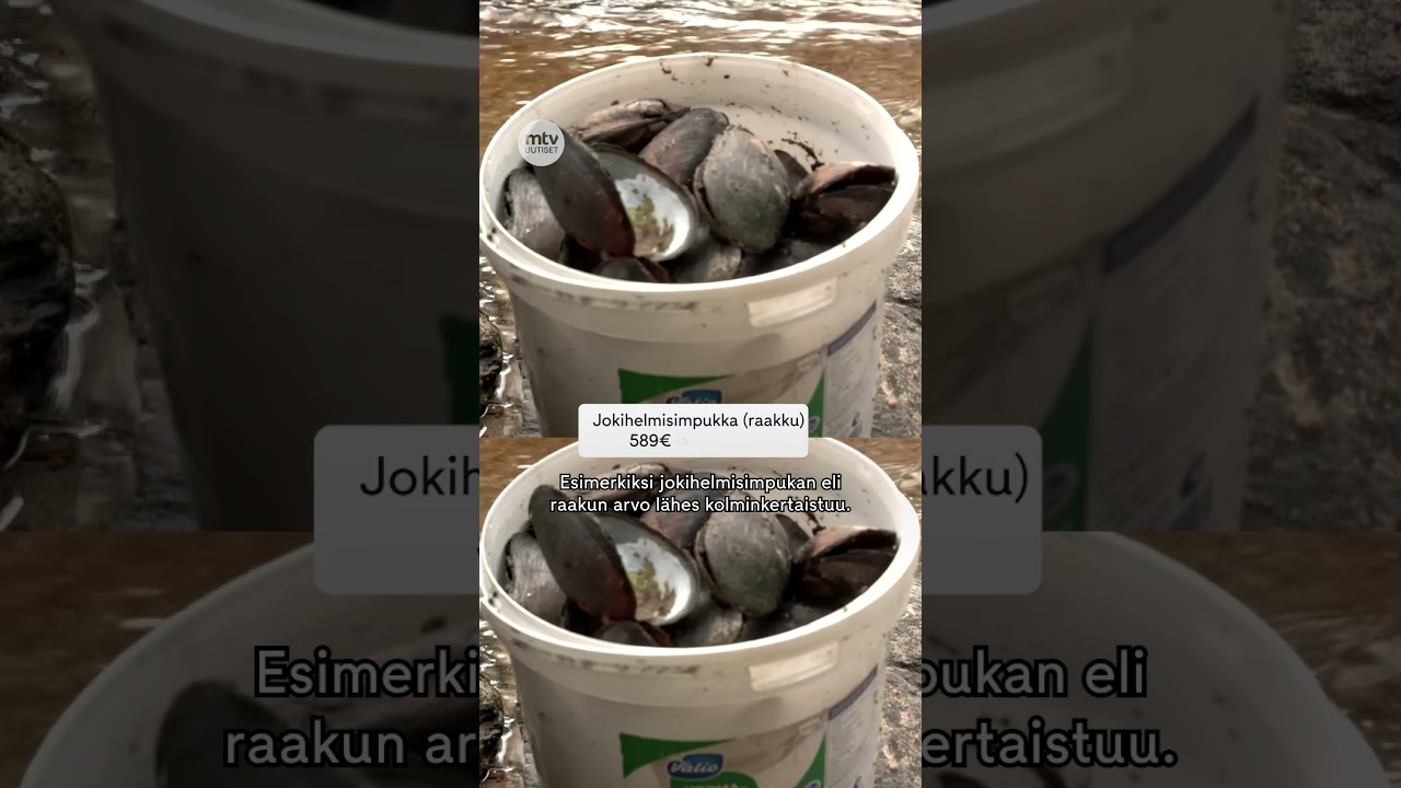 R&auml;&auml;k&auml;ttyjen raakkujen arvo kolminkertaistui &ndash; naali on nyt Suomen arvokkain laji