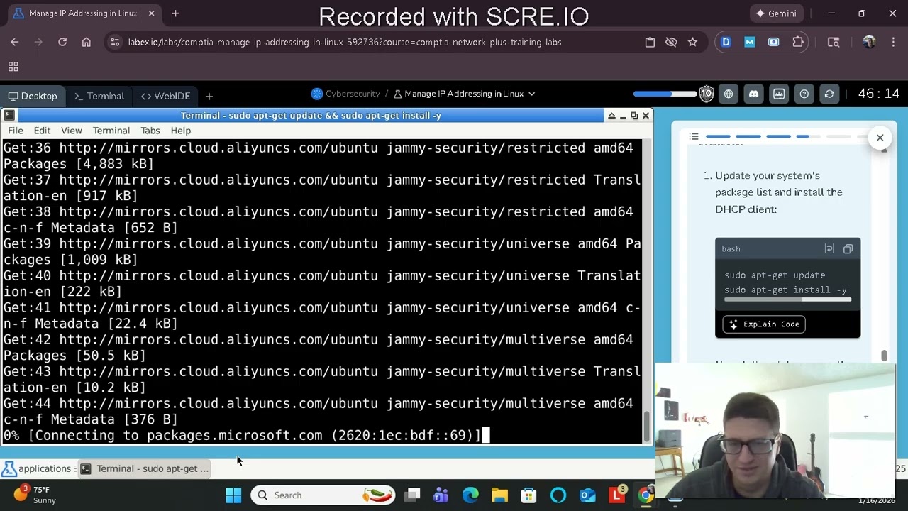 Managing IP addresses in Linux with labex.io