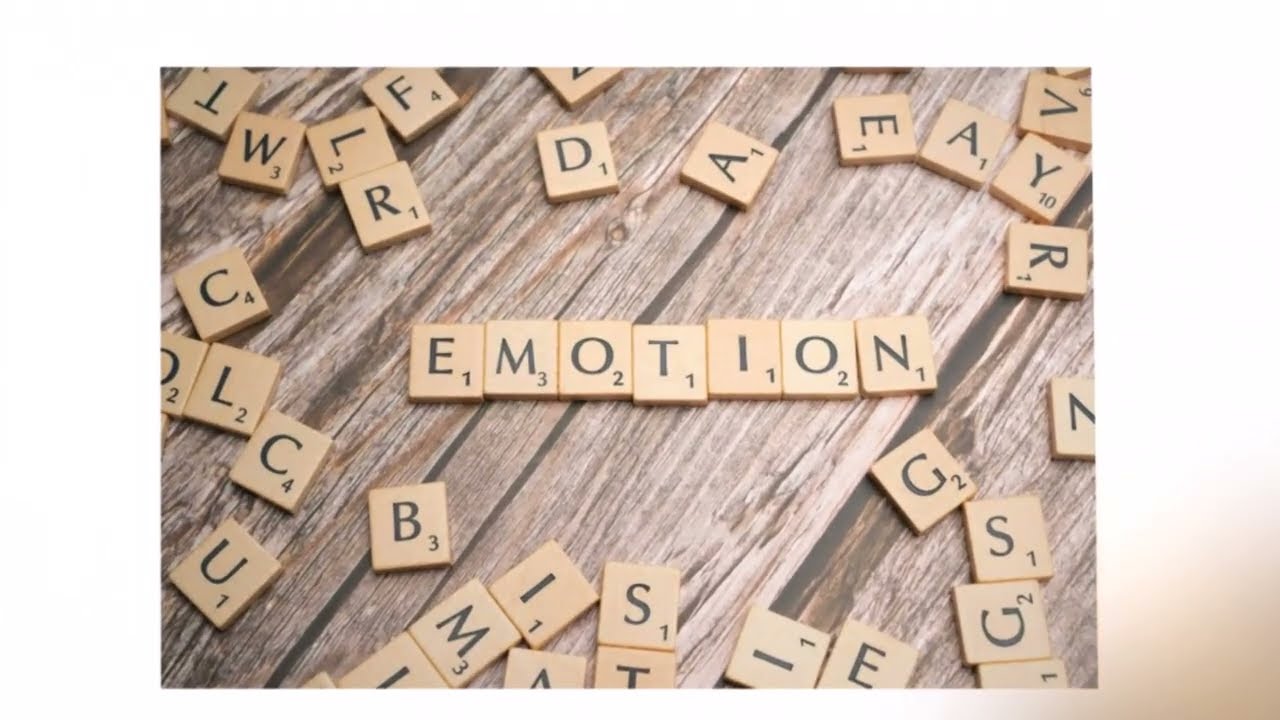Principle of Engagement Guideline 3 Emotional Capacity