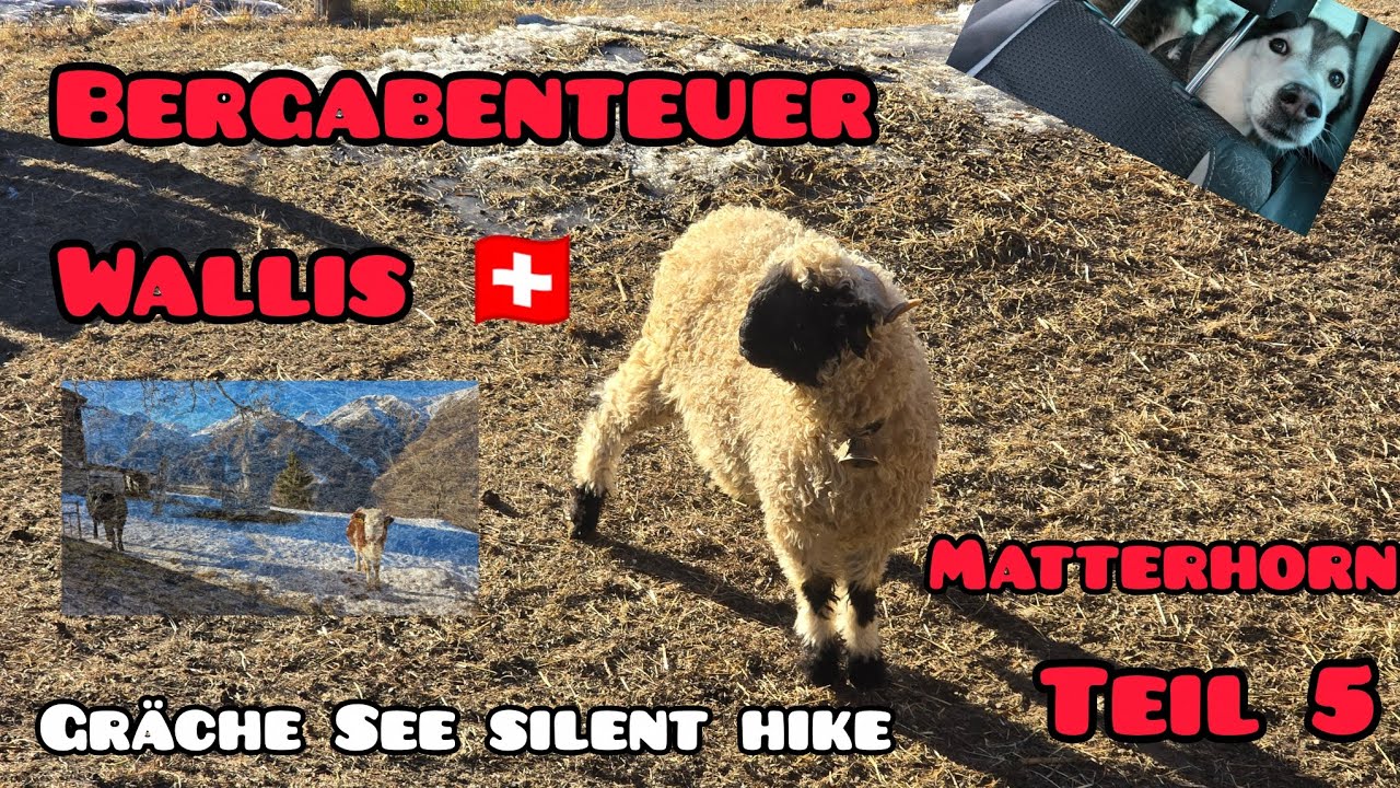 Bergabenteuer Teil 5 Grächen See Silent hike