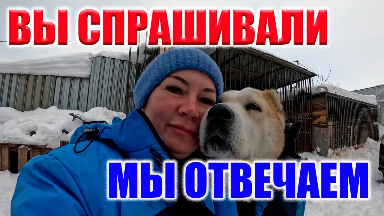 ОТВЕТЫ НА КОММЕНТАРИИ И ВОПРОСЫ! НУ И НАШИ ХВОСТЫ! КАК БЕЗ НИХ?)