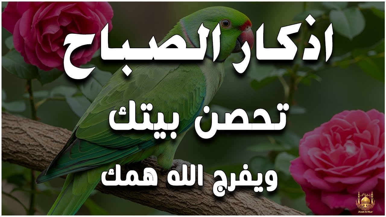 أذكار الصباح - راحة نفسية لا توصف بصوت القارئ علاء عقل | Morning Athkar - Dzkir Pagi by Alaa Aql