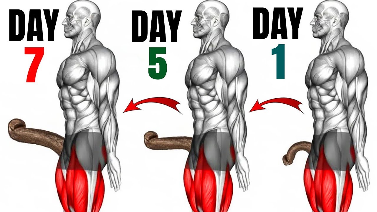 5 Home Exercises to Build Stamina & Endurance (Beginner Friendly)