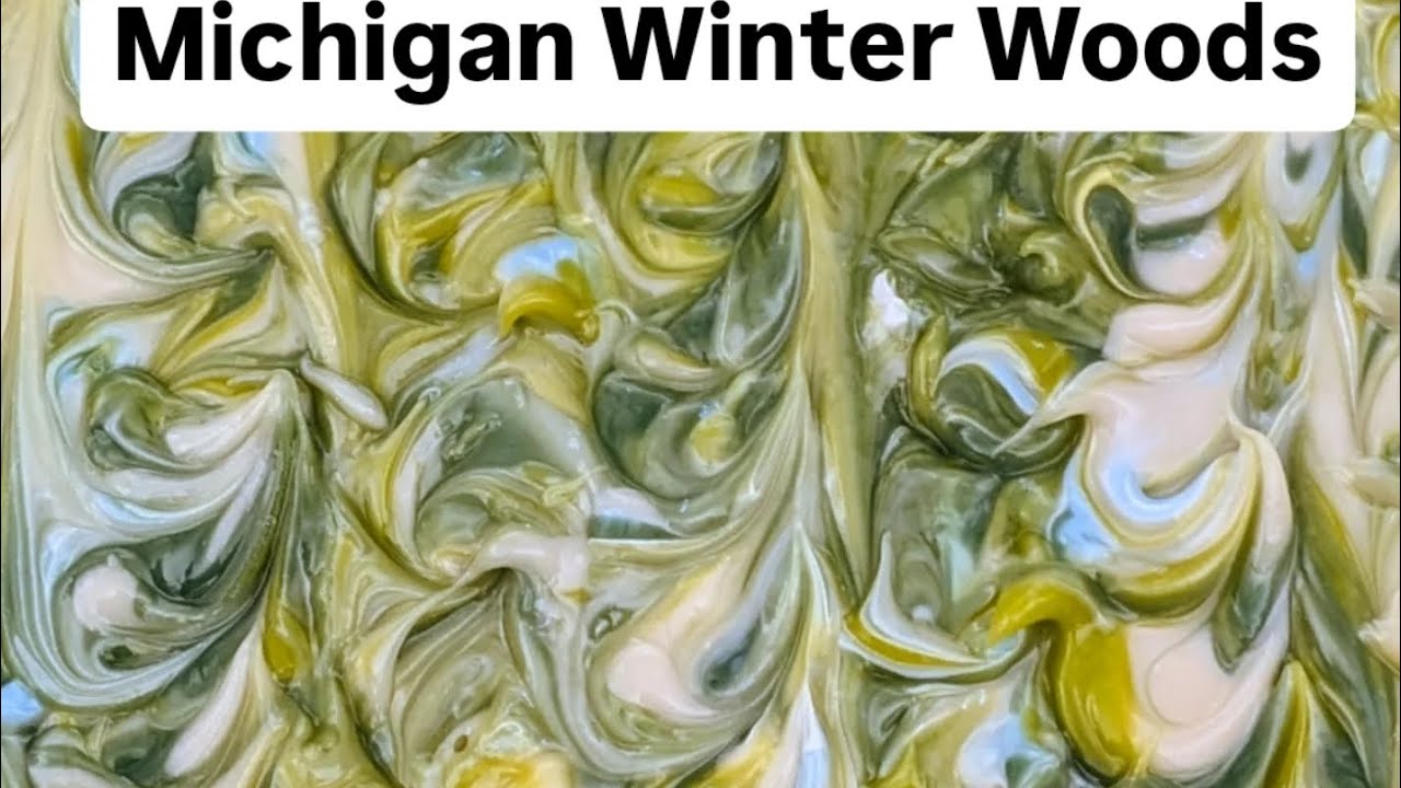 Зимние леса Мичигана