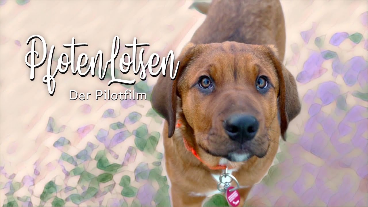 Pfotenlotsen - Starke Geschichten von Mensch und Tier (Pilotfilm)