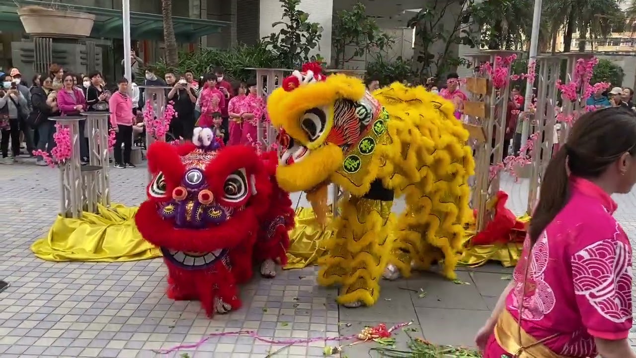 Hong Kong 2024 Lunar New Year Lion Dance 2024年新春醒獅賀龍年2