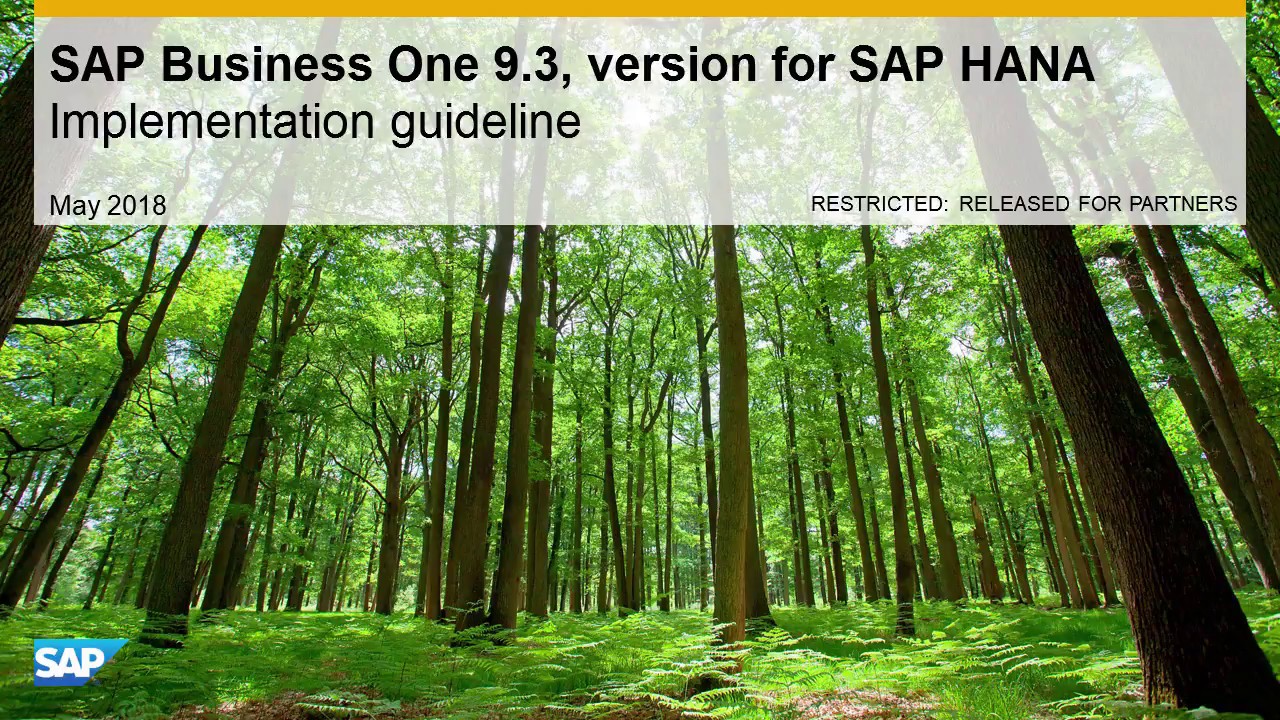 SAP Business One 9.3, version for SAP HANA Implementation Guideline