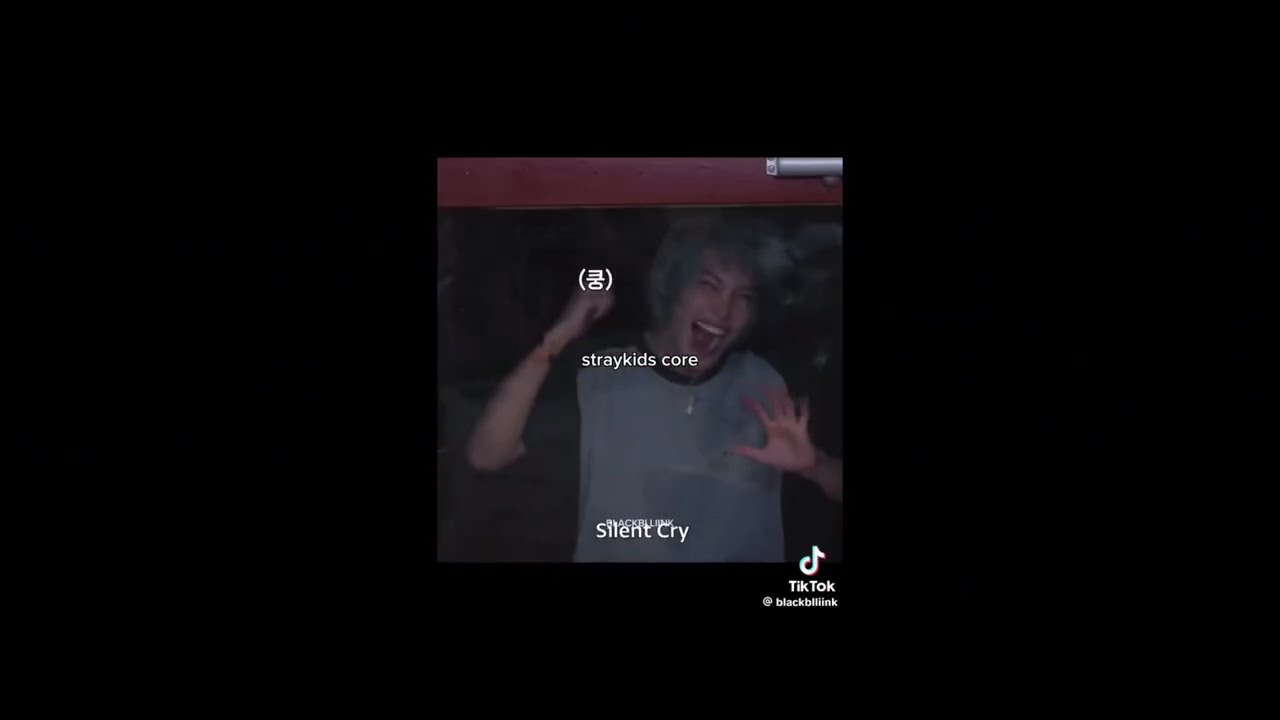 Straykids tiktok edits cuz you sleep schedule is ruined🥱✨