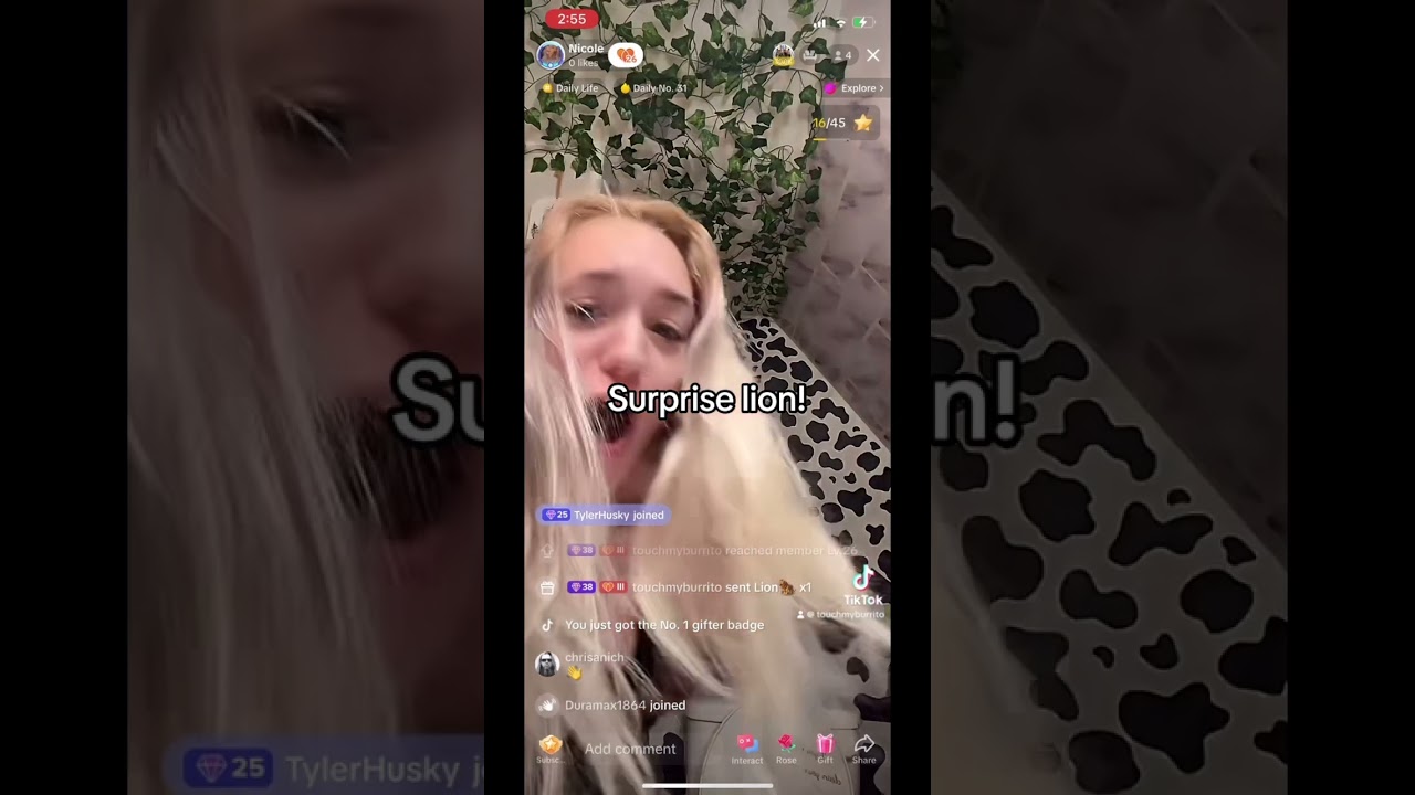 Surprise tiktok lion!