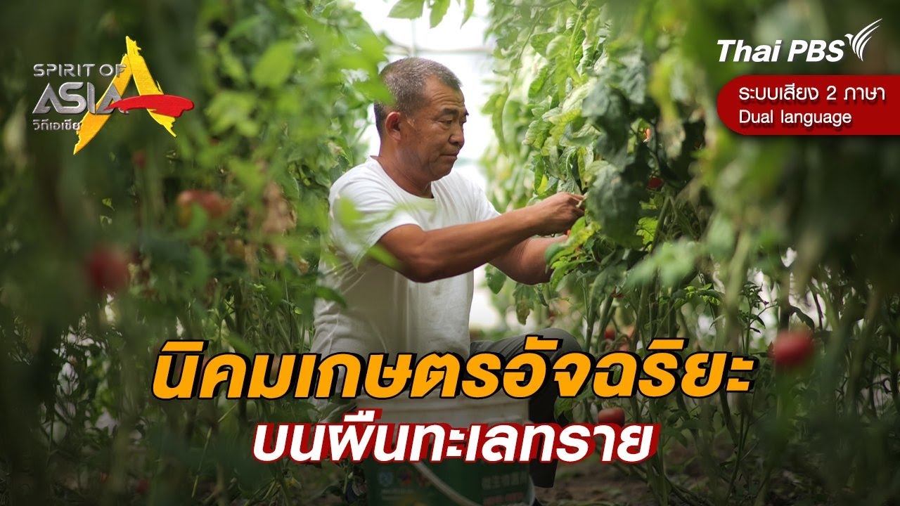 นิคมเกษตรอัจฉริยะบนผืนทะเลทราย | Spirit of Asia [Dual Language]