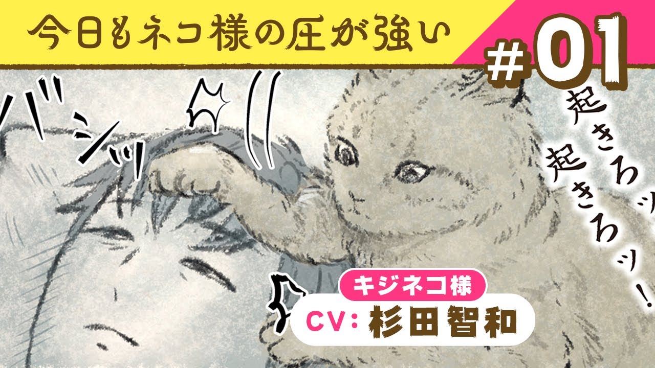 【マンガ動画】ネコ様（CV:杉田智和）に、にんげんは振り回されっぱなし！｜『今日もネコ様の圧が強い』（1）【漫画】ボイスコミック