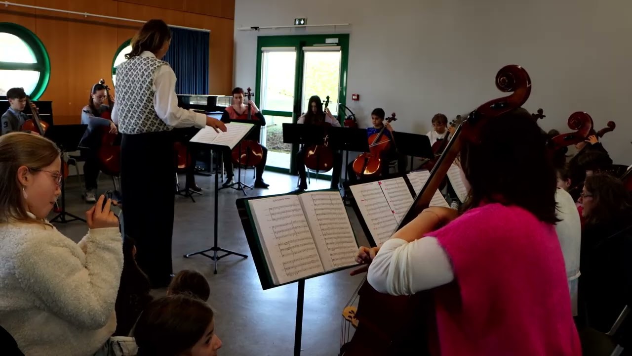 violocelle velotte 26