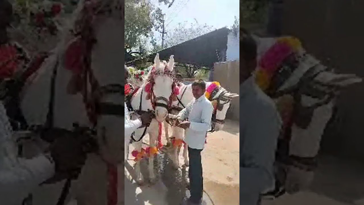 नारनौल शोभा यात्रा की तैयारी नितिन साहेब सत्संग Ram Kabir mukti yog  is live