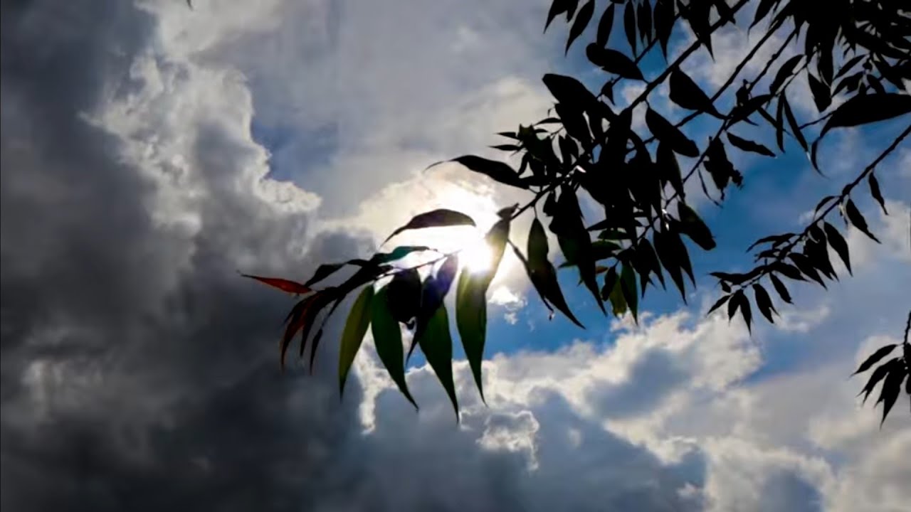 Chakasisi-Chiek(KETEPA)Riddim Prod. Beat kidd(Official video)