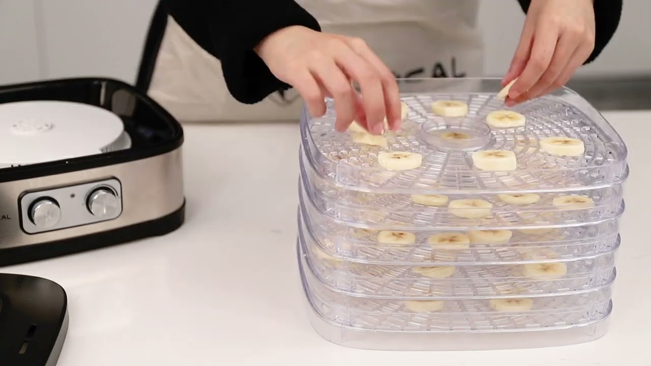 LEXICAL FOOD DEHYDRATOR