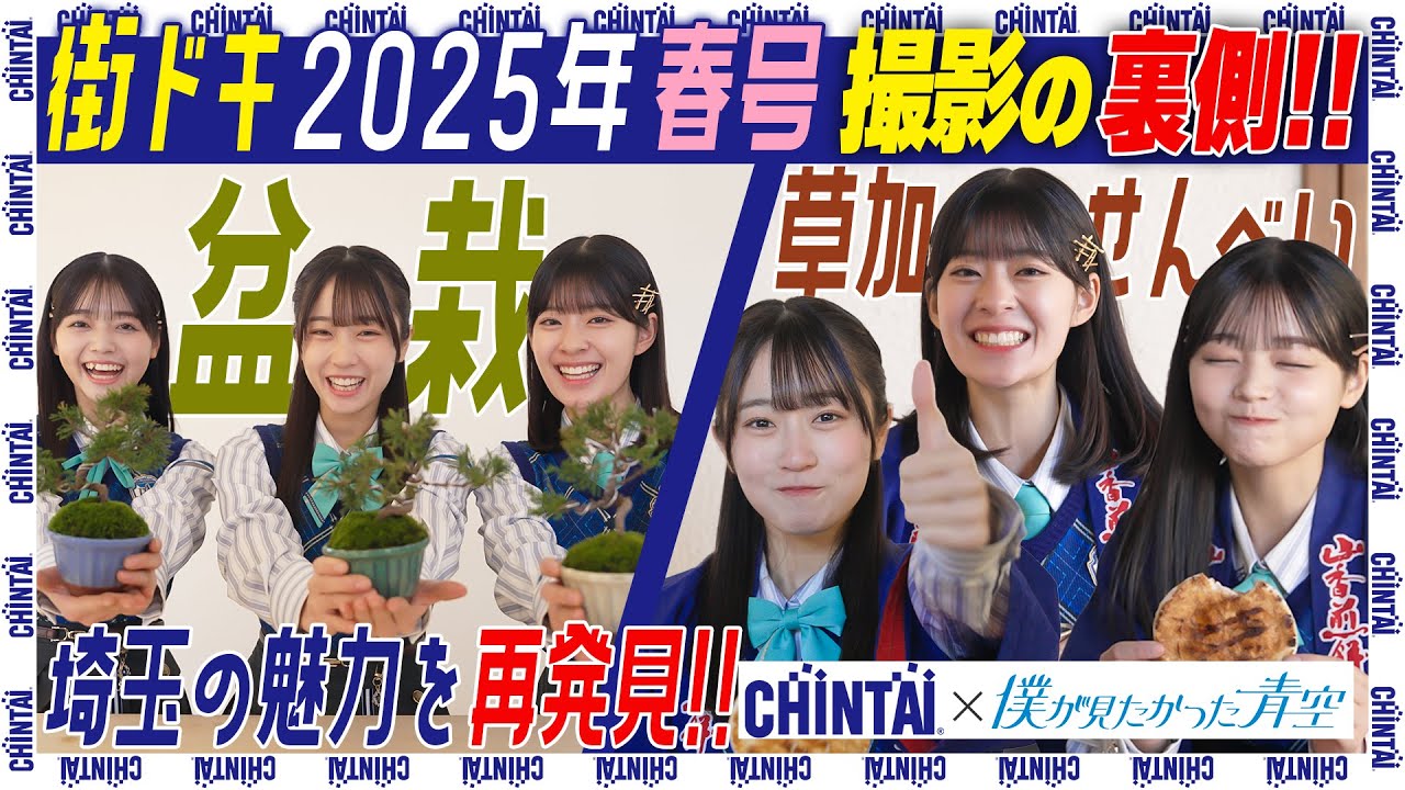 【街ドキ！埼玉】僕青が「盆栽」と「草加せんべい」を作りに行ってみた！｜CHINTAI