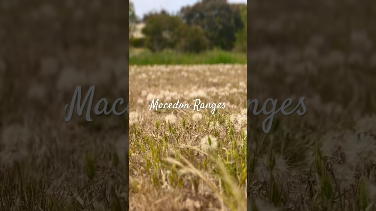 SECRET LOCATION at the Macedon Ranges. Melbourne travel idea!